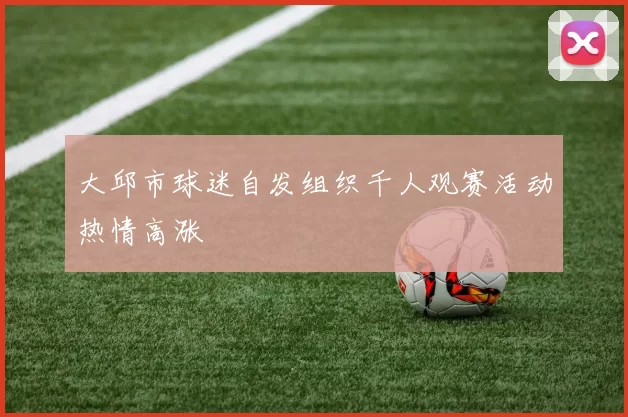 大邱市球迷自发组织千人观赛活动热情高涨